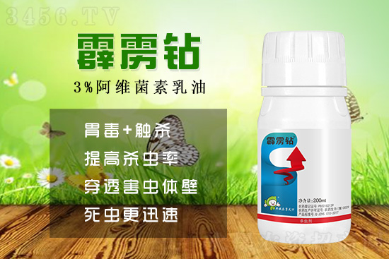 火爆40多年!老药新用,阿维菌素复配照样有奇效! 火爆40多年!老药新用,阿维菌素复配照样有奇效!